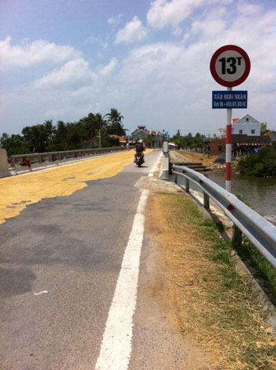 Phơi lúa trên cầu