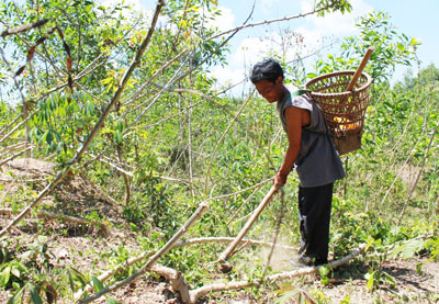 Đồng bào dân tộc Raglai ở Khánh Vĩnh tăng gia sản xuất phát triển kinh tế.