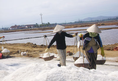 Bấp bênh mùa muối