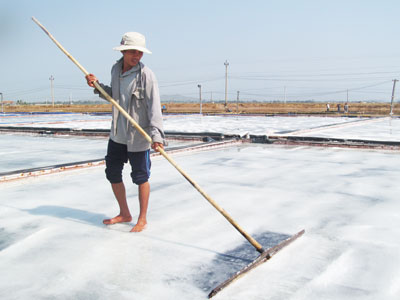 Sản xuất muối theo công nghệ lót bạt.