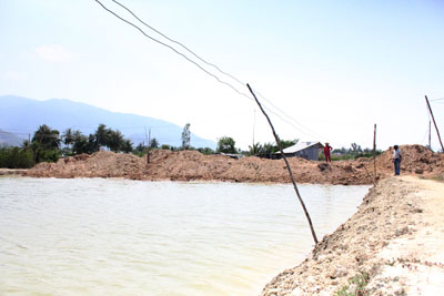 Phần đất các con ông Bơi đang nuôi tôm.