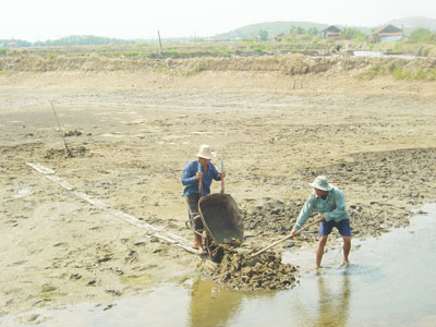 Người dân thị xã Ninh Hòa cải tạo ao đìa để thả nuôi tôm vụ 1 năm nay.