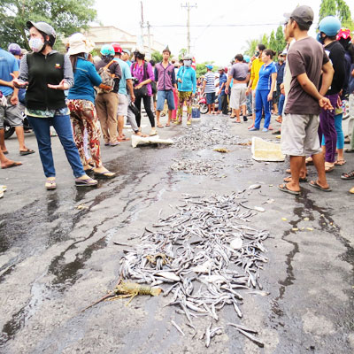 Tạm dừng việc nạo vét vịnh Cam Ranh