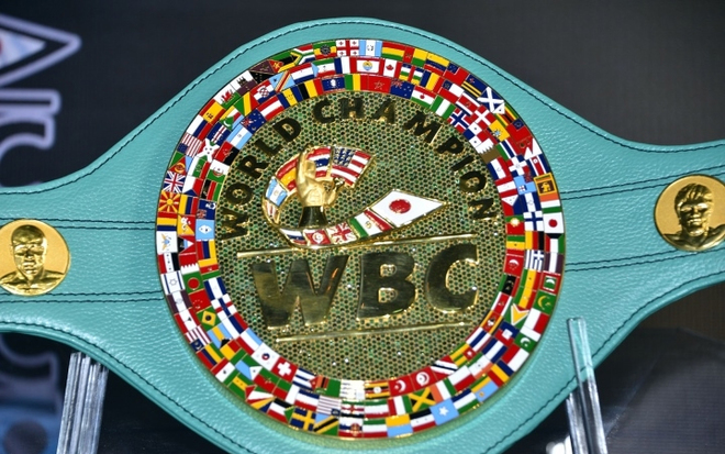 Chiếc đai được làm trên chất liệu nền là da thuộc loại tốt nhất, với năm vòng tròn trang trí.