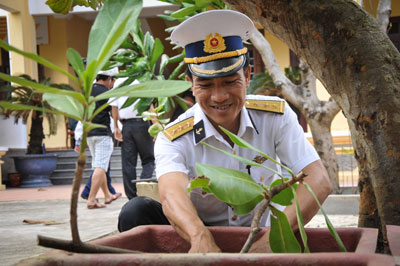 Đảo xa rợp bóng bàng vuông