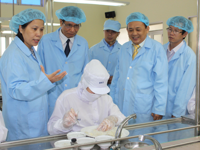 Các đại biểu thăm quan quy trình chế biến nguyên liệu Yến Sào Khánh Hòa.