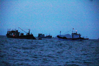 Một số tàu thuyền khai thác thủy sản trên vịnh Vân Phong bằng công cụ hủy diệt. (Ảnh chụp đêm 4-5).