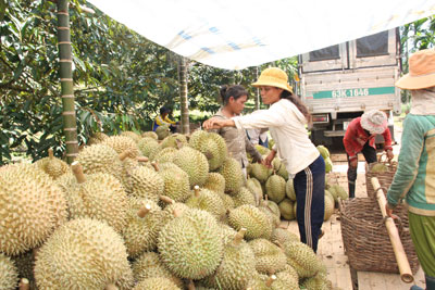 Định hướng phát triển cho Khánh Sơn