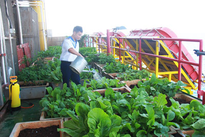 Sức sống ở nhà giàn