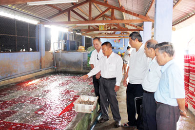 Ông Nguyễn Chí Thành (thứ 2 từ trái qua, hội viên Hội Cựu chiến binh TP. Nha Trang) là tấm gương vượt khó, vươn lên làm giàu.