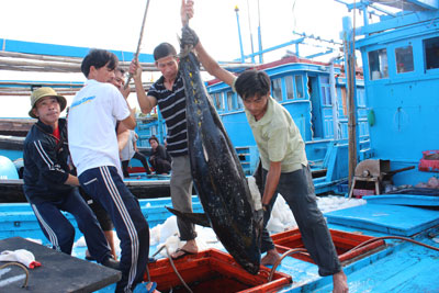 Nhờ được đào tạo nghề bài bản nên nhiều ngư dân trên địa bàn tỉnh yên tâm vươn khơi bám biển.