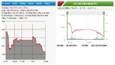 Hai sàn giảm mạnh, VN-Index mất mốc 530 điểm