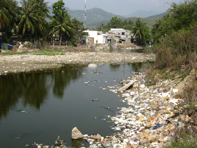 Ô nhiễm tại khu dân cư xã Vĩnh Lương