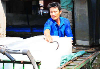 Hiệu quả từ Tổ hợp tác thanh niên