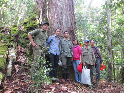 Bảo tồn, phát triển đa dạng sinh học rừng Khánh Hòa