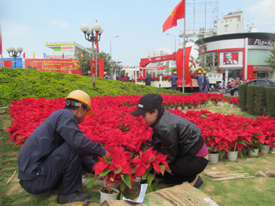 Trang trí bồn hoa tại Ngã Sáu (Nha Trang) dịp Tết Ất Mùi 2015.
