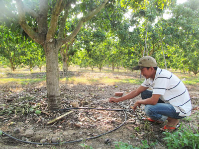 Đầu tư 150 tỷ đồng thực hiện mô hình tưới tiết kiệm nước
