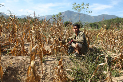Khánh Sơn: Mỗi tháng 1 tỷ đồng chống hạn