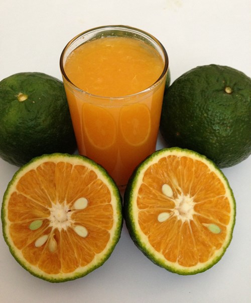 Sự kỳ diệu của quả cam