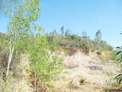 Đất trồng rừng bị đào bới, san phẳng để bán cho người dân xây mồ mả