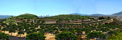 Toàn cảnh Công viên nghĩa trang Vĩnh Thái.