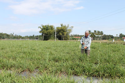 Nhiều khó khăn cần được tháo gỡ