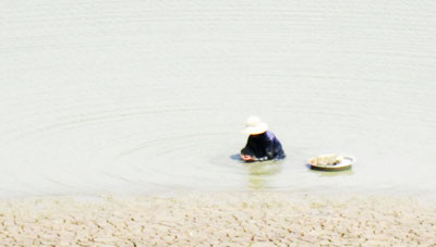 Mưu sinh mùa hồ cạn