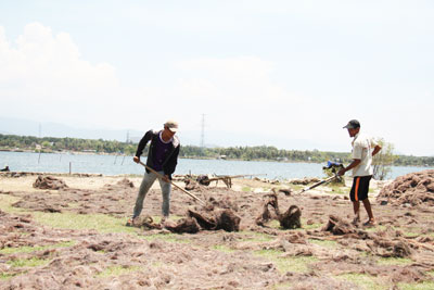 Người dân thôn Suối Cam (xã Cam Thành Bắc) phơi rau câu.