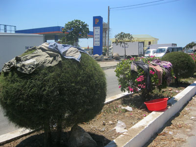 Dải phân cách biến thành sân phơi