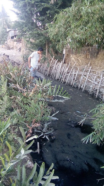 Khắc phục không triệt để