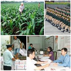 Chỉ đạo, điều hành của Chính phủ, Thủ tướng Chính phủ nổi bật tuần 8-12/6