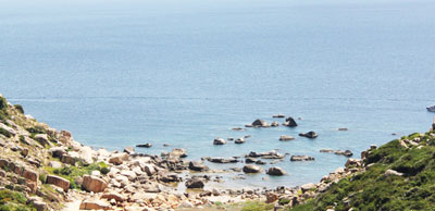 Tìm nguồn năng lượng sạch