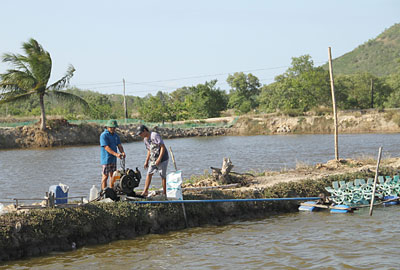 Người nuôi tôm ở thị xã Ninh Hòa thu dọn máy móc, thiết bị nuôi tôm.