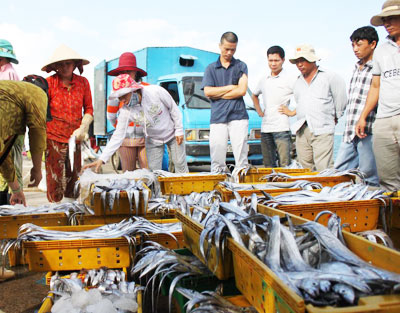 "Thị trường Dubai khá dễ tính"