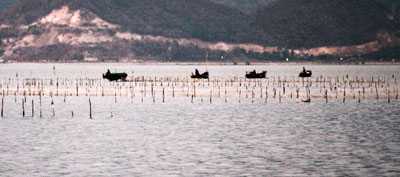 Cào sò trên đầm Nha Phu: Cấm cũng như không