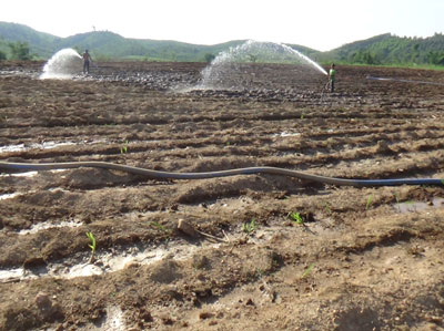 Khánh Vĩnh: Chủ động chống hạn