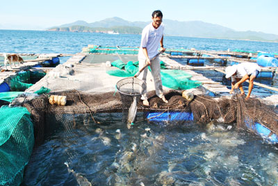 Đẩy mạnh nghiên cứu khoa học về thủy sản