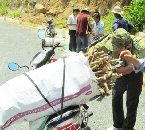 Nghiệm thu đề tài nghiên cứu về cây Xáo tam phân