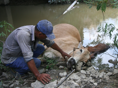 Hiện trường vụ việc.