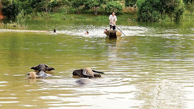 Điện ảnh tài liệu Việt Nam: Chưa thể vượt lên chính mình