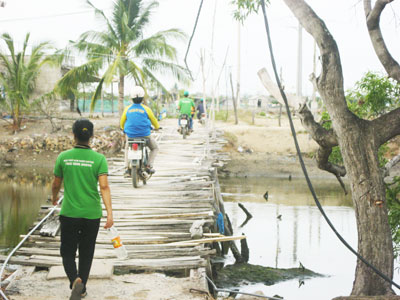 Chiếc cầu mục nát