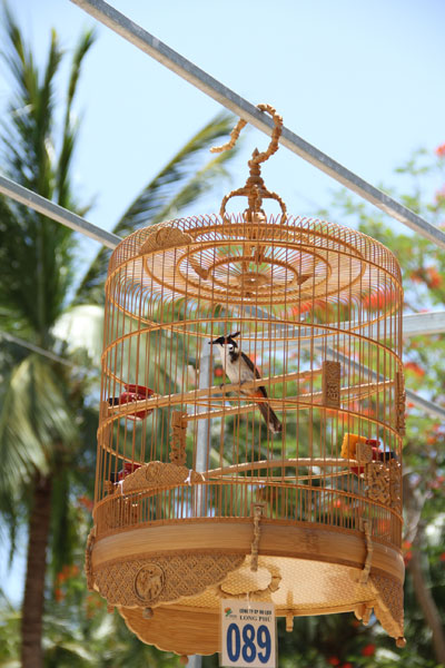 Vượt qua hàng trăm chú chim khác, chú chim mang số báo danh 089 đã xuất sắc đạt giải nhất.
