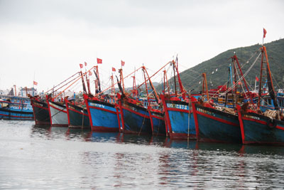 Đầu tư tàu vỏ sắt sẽ giúp hiện đại hóa đội tàu khai thác xa bờ. 