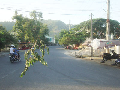 Dây cáp viễn thông sà xuống mặt đường