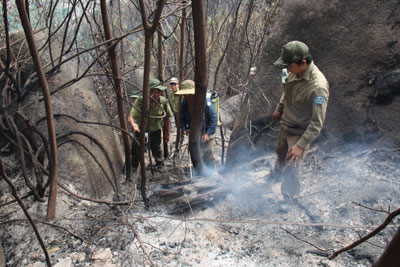Cháy lớn trên núi Hòn Ông