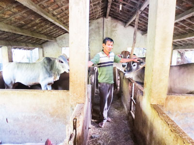 Sức bật từ phong trào nông dân sản xuất kinh doanh giỏi