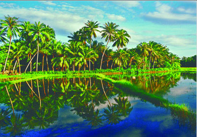 Điểm nhấn từ những triển lãm