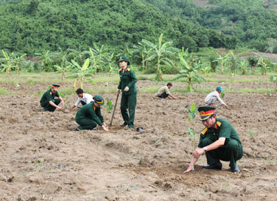 Cán bộ, chiến sĩ Bộ Chỉ huy Quân sự tỉnh trồng mít nghệ giúp nhân dân xã Khánh Phú  (Khánh Vĩnh).