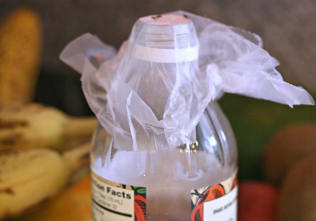 5 mẹo thông minh diệt ruồi