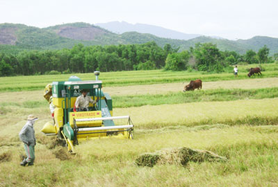 Những đổi thay trên vùng đất cách mạng